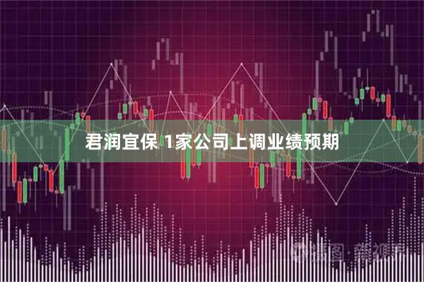 君润宜保 1家公司上调业绩预期