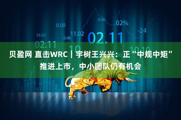 贝盈网 直击WRC｜宇树王兴兴：正“中规中矩”推进上市，中小团队仍有机会