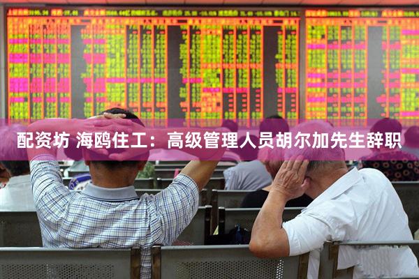 配资坊 海鸥住工：高级管理人员胡尔加先生辞职